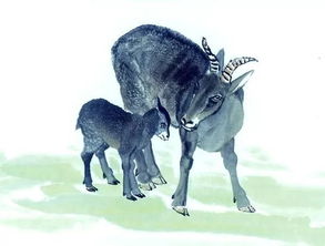 谨防:新奥2025天天开好彩四不像，羊、蛇、兔、虎，2026新澳材料大全免费升级分析、解释与落实,小心虚假鼓吹