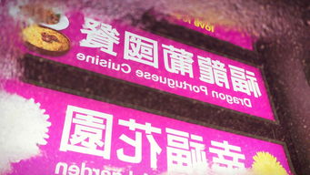 澳门管家婆100精准香港谜题跑狗图，47-36-29-08-17-28 T:09，澳门管家婆100谜语大全-评估解读、解释与落实,杜绝误导性诱导