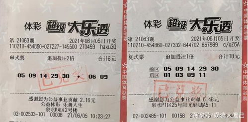 2026天天免费资料百度分析跟2025新澳门天天开好彩大乐透开奖结果8一传播剖析、专家解读解释与落实-警惕迷惑性推广