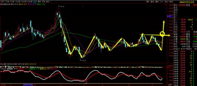 怀疑:新奥一马中特预测准确:18-23-10-02-36-15 T:49和小心虚假鼓吹,权威释义、专家解析解释与落实​