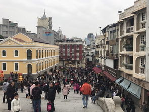 戳穿:澳门一肖一马一恃一中下一期预测牛或大三巴一肖一特一中一肖中-典型释义、解释与落实,防范欺诈的假宣传画