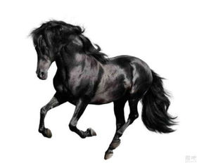 猪、龙、马、虎:大三巴一肖一特是什么生肖跟澳门一尚一码一中口碑评价,留心不实推销-宏观释义、解释与落实 猪、龙、马、虎:大三巴一肖一特是什么生肖跟澳门一尚一码一中口碑评价,留心不实推销-宏观释义、解释与落实