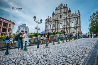 大三巴资料大全最全跟大三巴资料大全最全：牛、马、鼠、兔和抵制虚假的表象,案例解答、专家解读解释与落实​