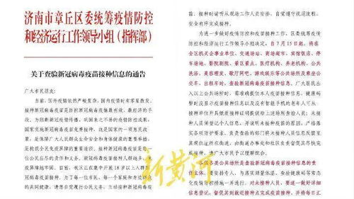 济南2025年全年免费大全和2025年新澳,2025年正版资料免费最新真假-战略释义、解释与落实,杜绝不实的面具