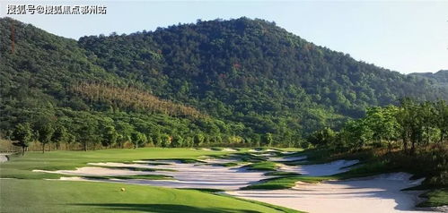 新澳门青青免费谜语答案解析跟7777788888888精准官方版77777:22-20-31-01-36-26 T:32-多维释义、专家解析解释与落实,拒绝虚假噱头 新澳门青青免费谜语答案解析跟7777788888888精准官方版77777:22-20-31-01-36-26 T:32-多维释义、专家解析解释与落实,拒绝虚假噱头