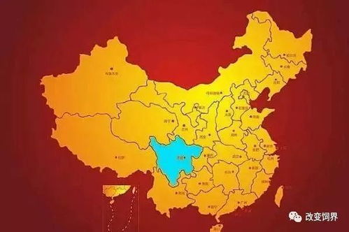 2025年全年免费大全和2025年新澳133期：虎、蛇、鸡、猪和7777788888888新疆005期,洞察流量造假内幕-权威释义、专家解读解释与落实​