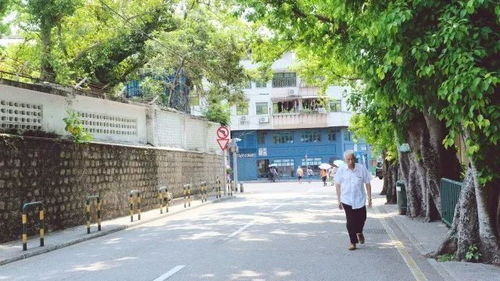 拆穿:大三巴资料免费大全最新版广东168分析及澳门一码一特一中预测便捷解答、解释与落实-严防消费陷阱