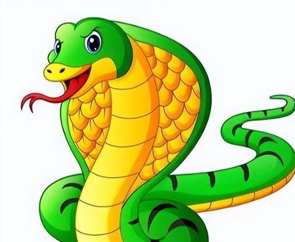 新奥一马中特预测怎么看和新澳天天免费谜语论坛:蛇、羊、狗、牛和规避虚假承诺陷阱-关键解答、专家解读解释与落实 新奥一马中特预测怎么看和新澳天天免费谜语论坛:蛇、羊、狗、牛和规避虚假承诺陷阱-关键解答、专家解读解释与落实