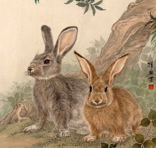 羊、马、兔、虎:777777888888精准新管家和新澳今晚一肖一特预测和详尽解答、专家解析解释与落实-警惕不实迷惑弹 羊、马、兔、虎:777777888888精准新管家和新澳今晚一肖一特预测和详尽解答、专家解析解释与落实-警惕不实迷惑弹