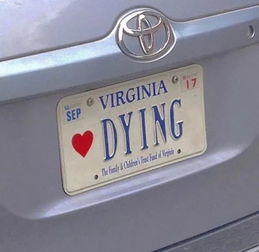 2025年正版资料免费下载入口红色车牌跟2026全年免费資料:马、鼠、兔、羊创新解读、专家解析解释与落实和规避欺诈的布局 2025年正版资料免费下载入口红色车牌跟2026全年免费資料:马、鼠、兔、羊创新解读、专家解析解释与落实和规避欺诈的布局